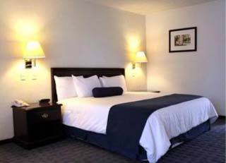 Camino Real Hotel 5*