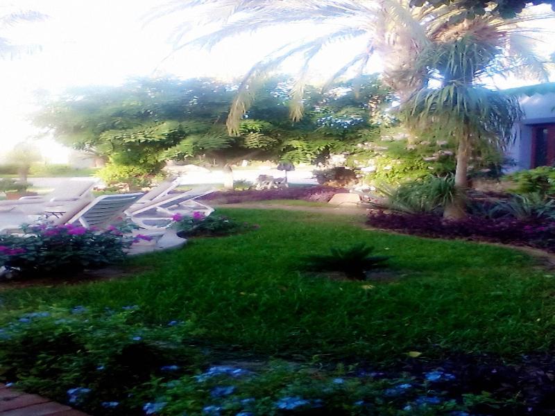 El Encanto & Hotel San Jose del Cabo