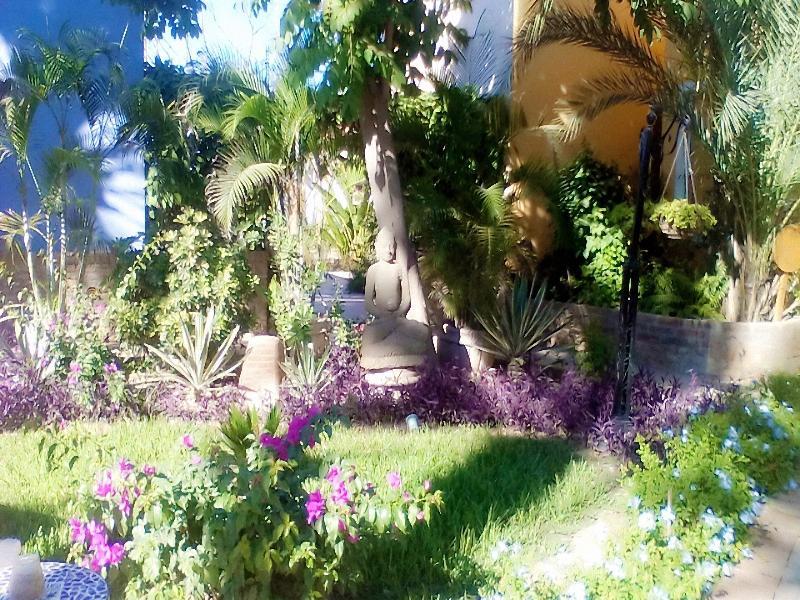 El Encanto & San Jose del Cabo