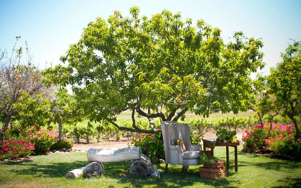 Lodge Rancho El Parral