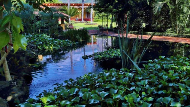 Amomoxtli Hotel