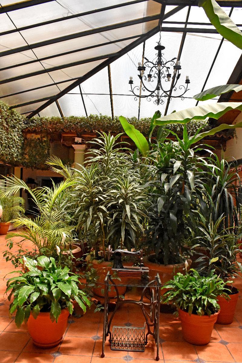 San Luis Hotel 3*