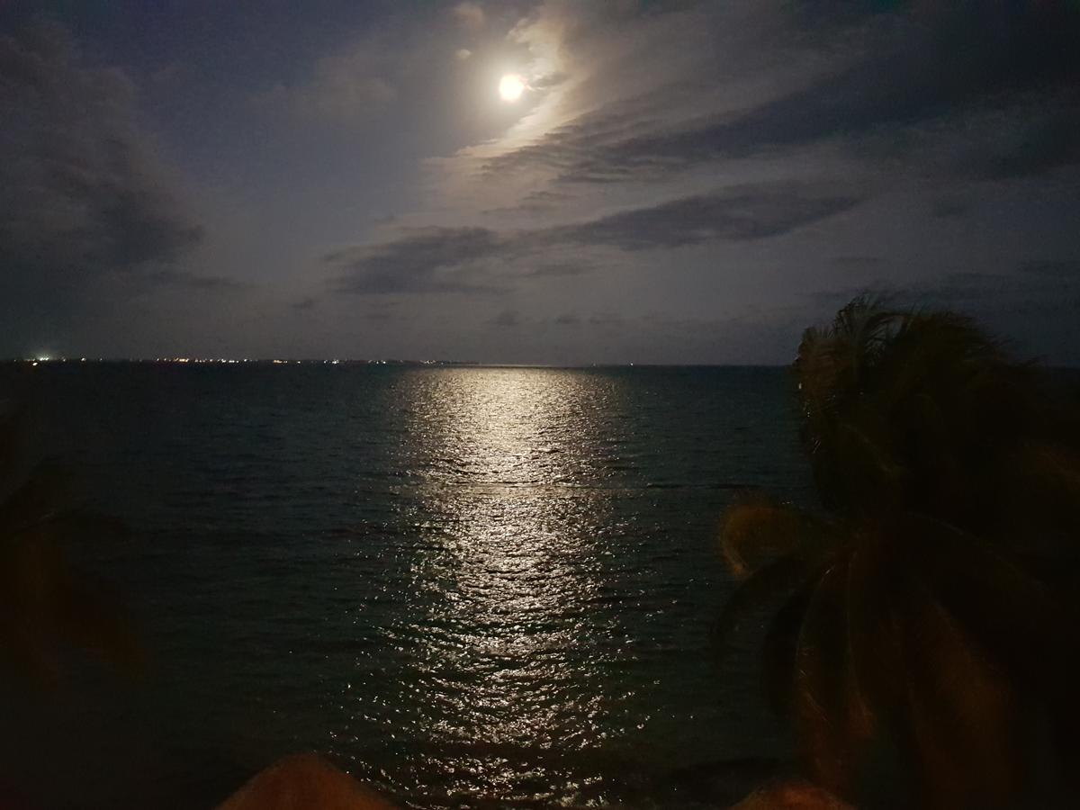 Frente Al Mar Apartment *