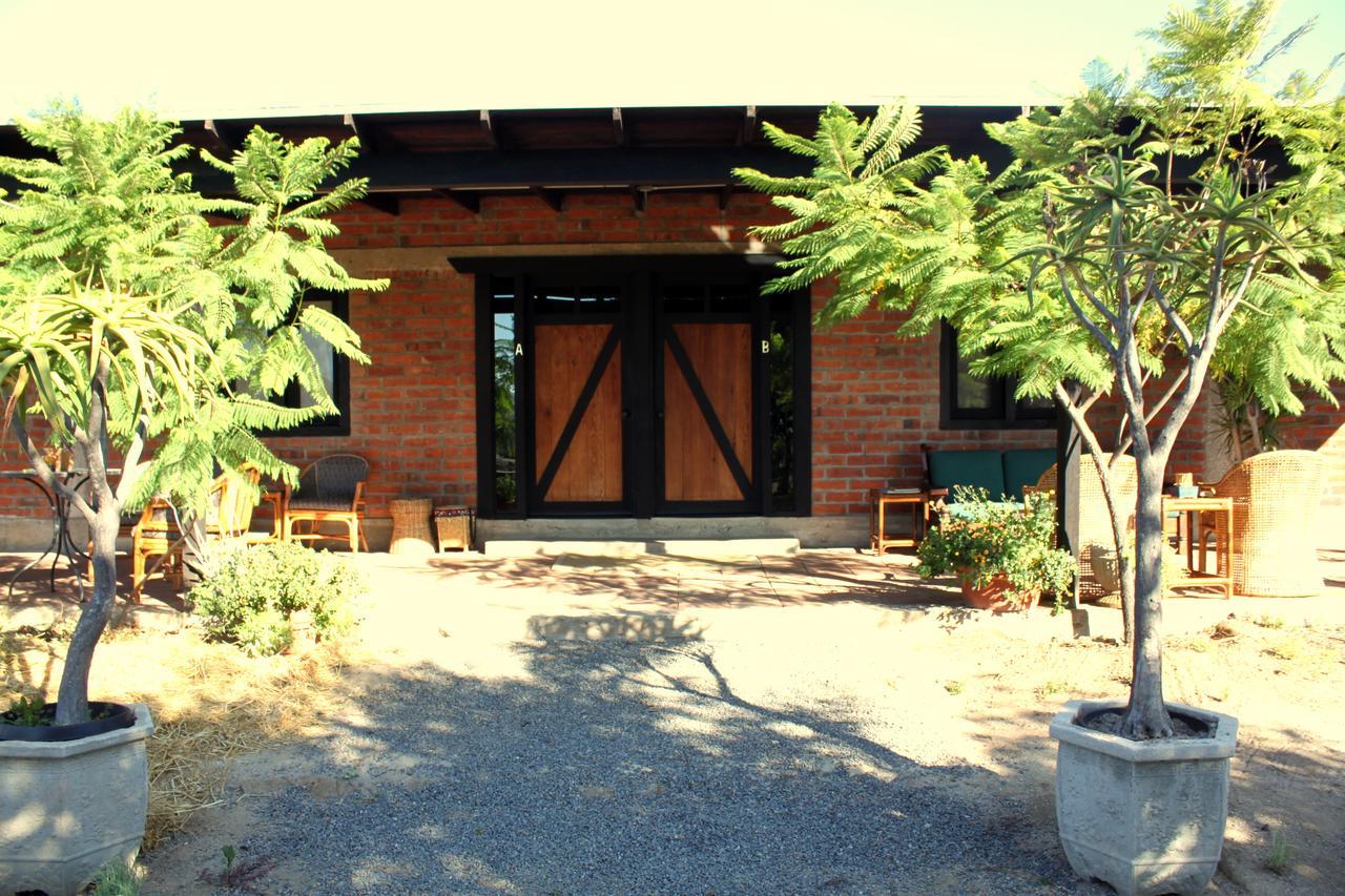 Orquideas Valle de Guadalupe
