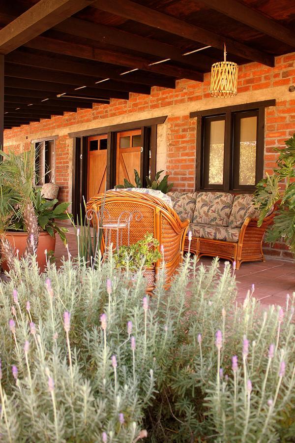 Orquideas * Valle de Guadalupe