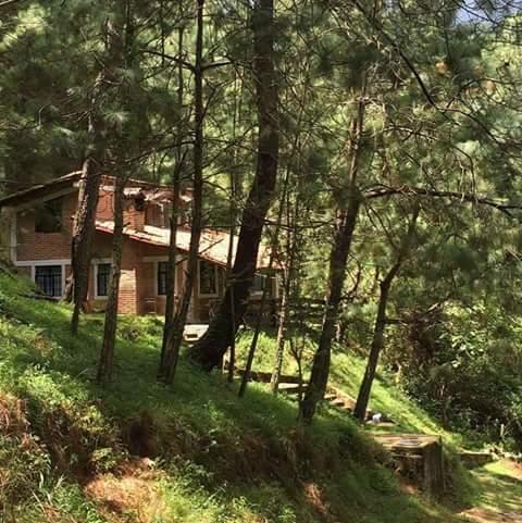 Campsite Alazanas 3*