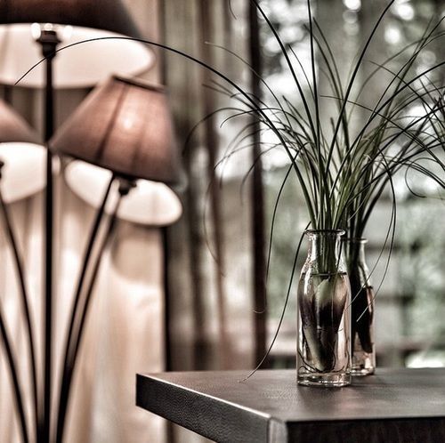 Organico Boutique 4*