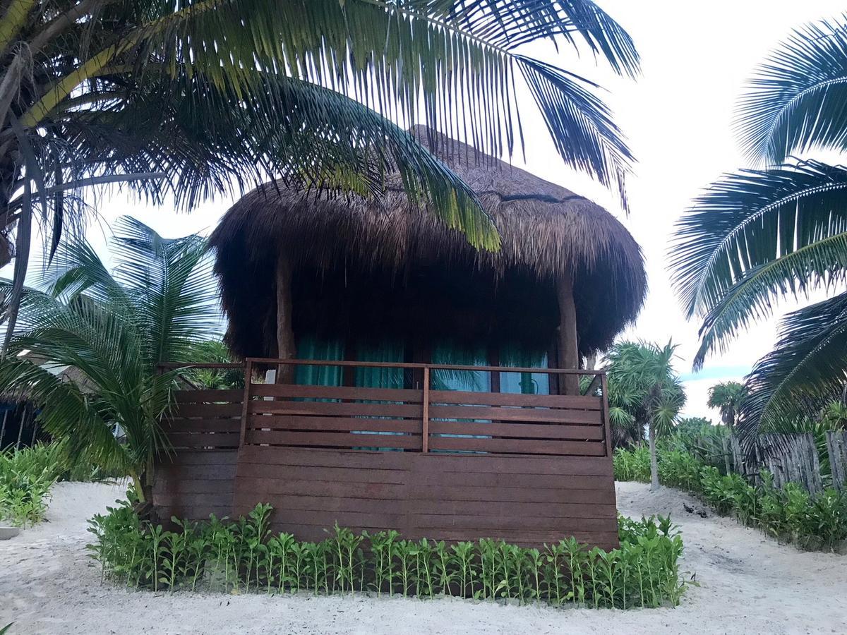 Agua Eco Design Hotel Hotel 4*
