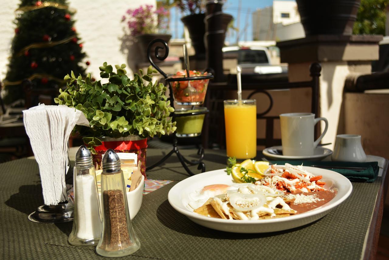 Hotel Terranova San Jose del Cabo