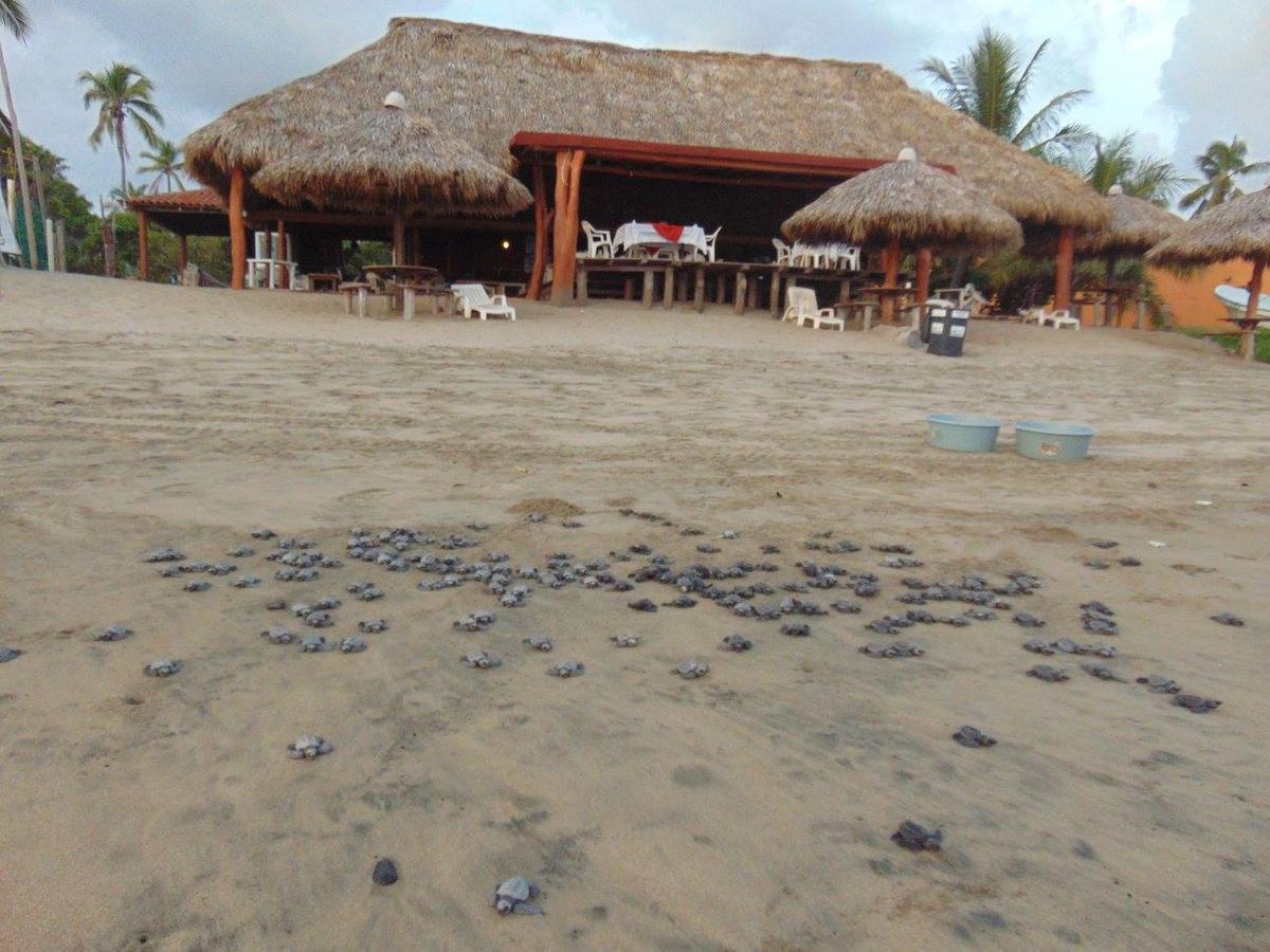 Roberto's Bistro 2* Troncones