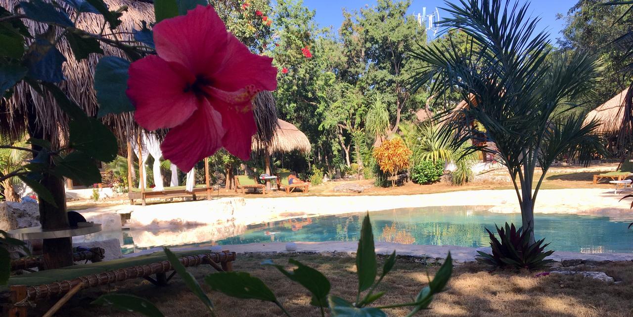 Hotel Morena Boutique Ecoliving 4*
