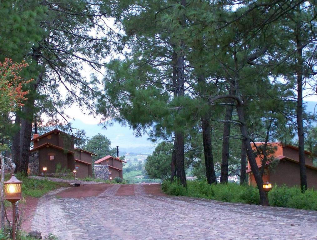 Monterra Hotel 3*