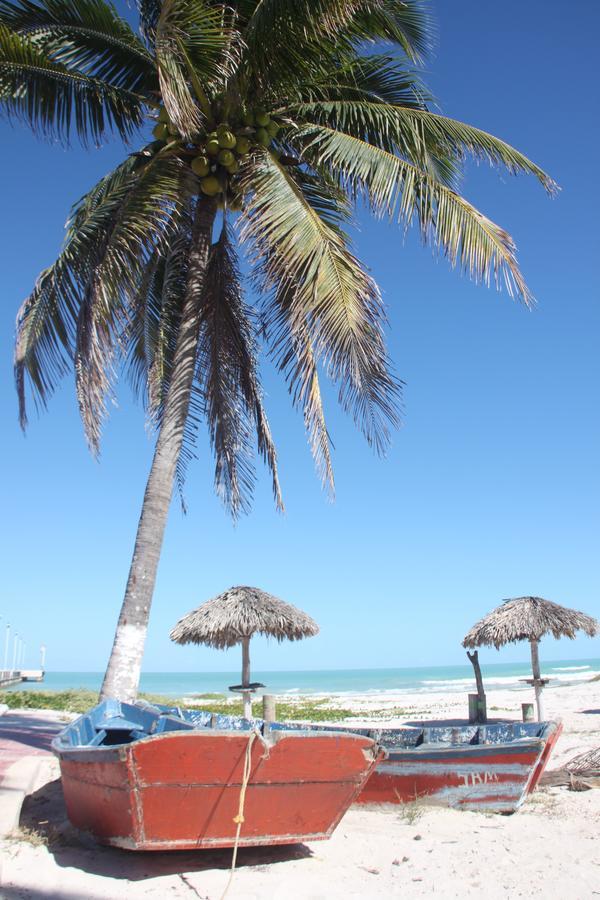 Ocean Dream Beachfront House * El Cuyo