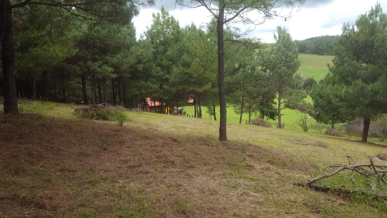 Campamento * Zirahuen