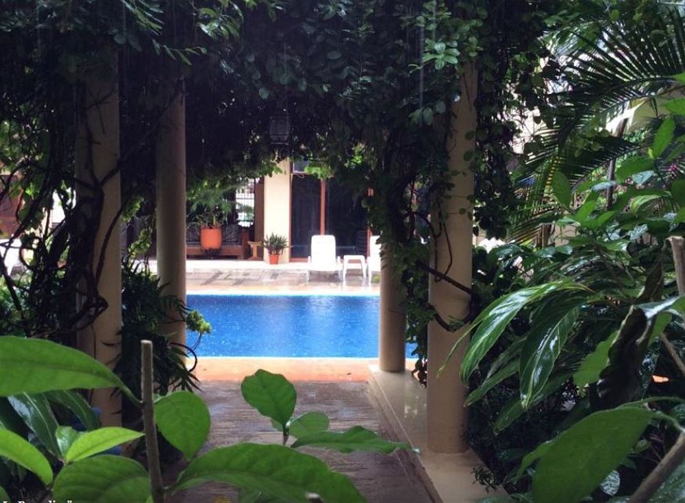 Palmeras 3*