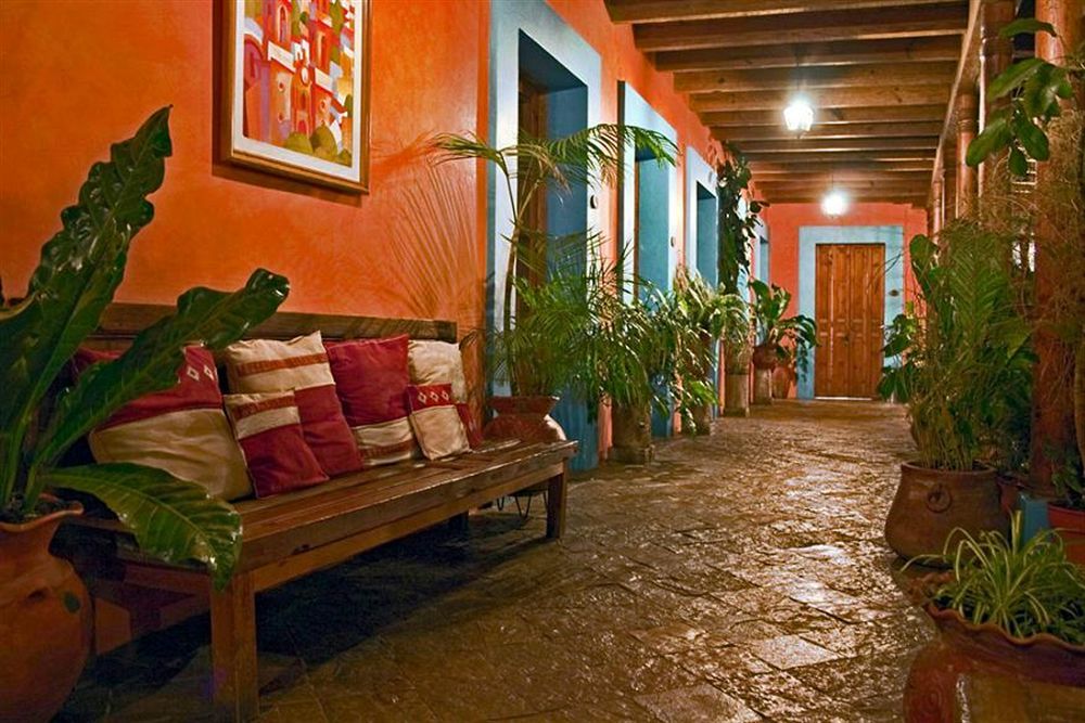 El Paraiso Hotel 3*