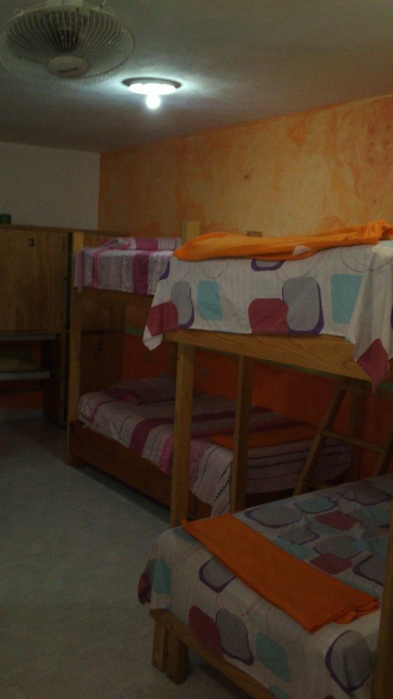 Hostel Amigos Cozumel