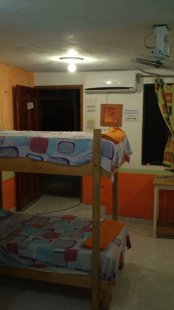 Hostel Amigos *
