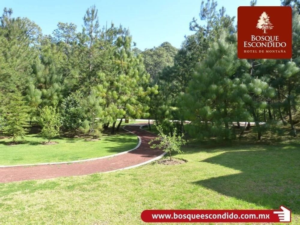 Hotel Bosque Escondido