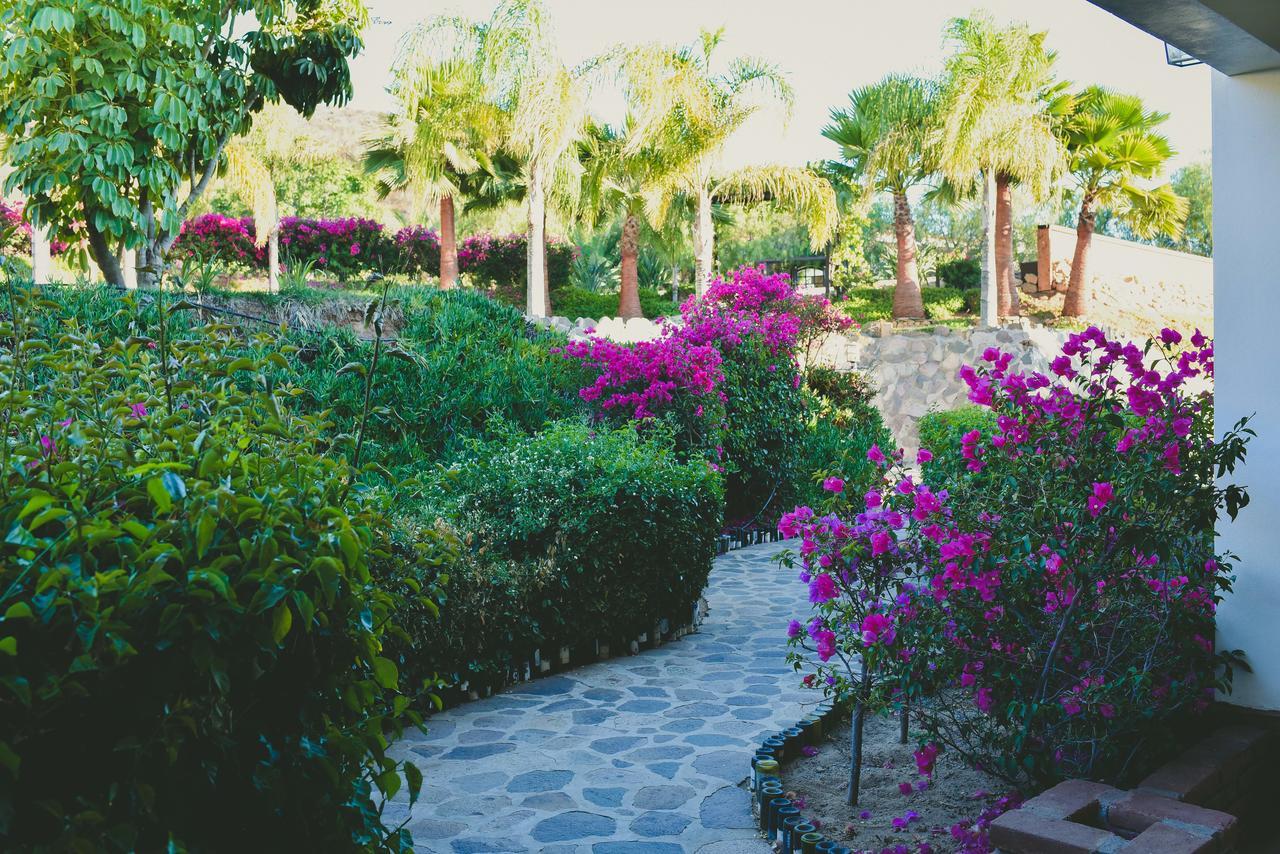 Hacienda 3* Valle de Guadalupe