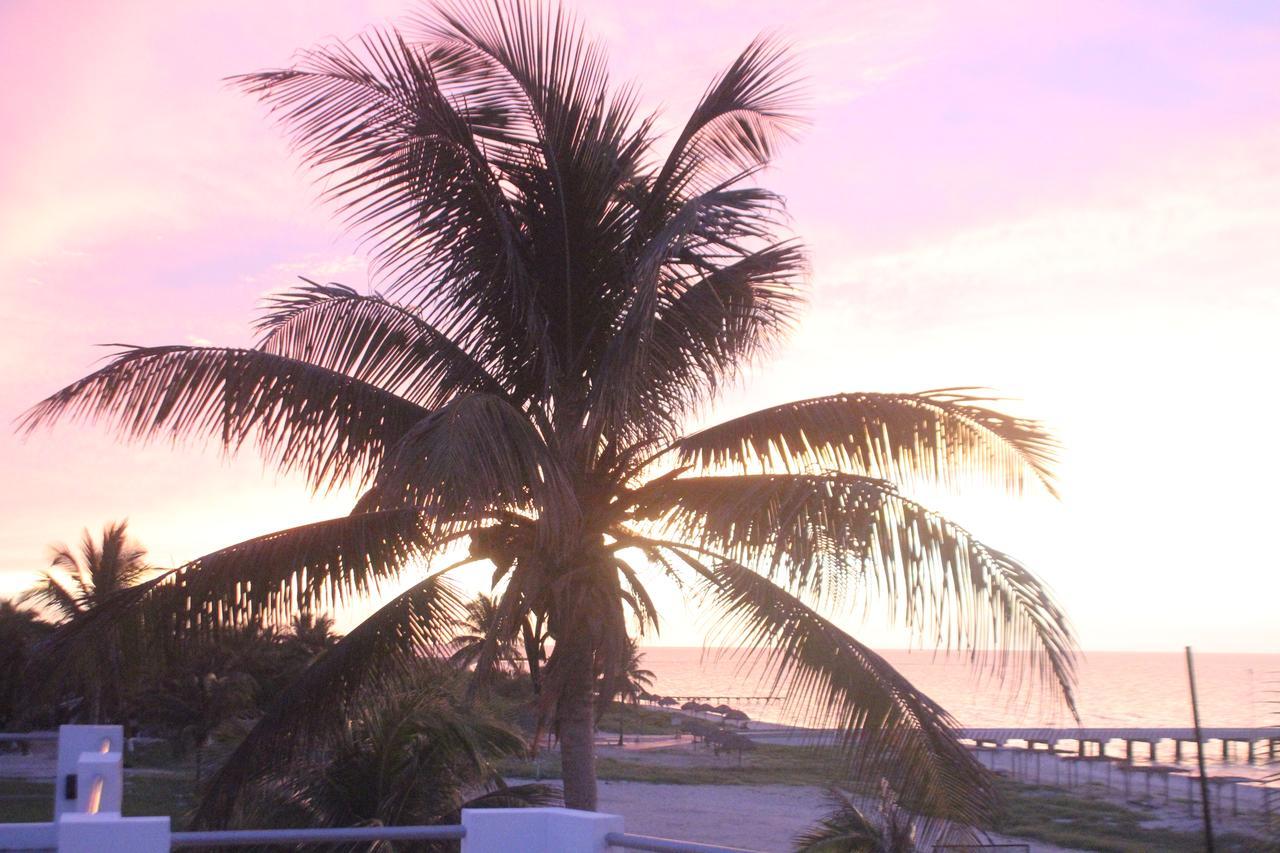Hotel La Casa Cielo