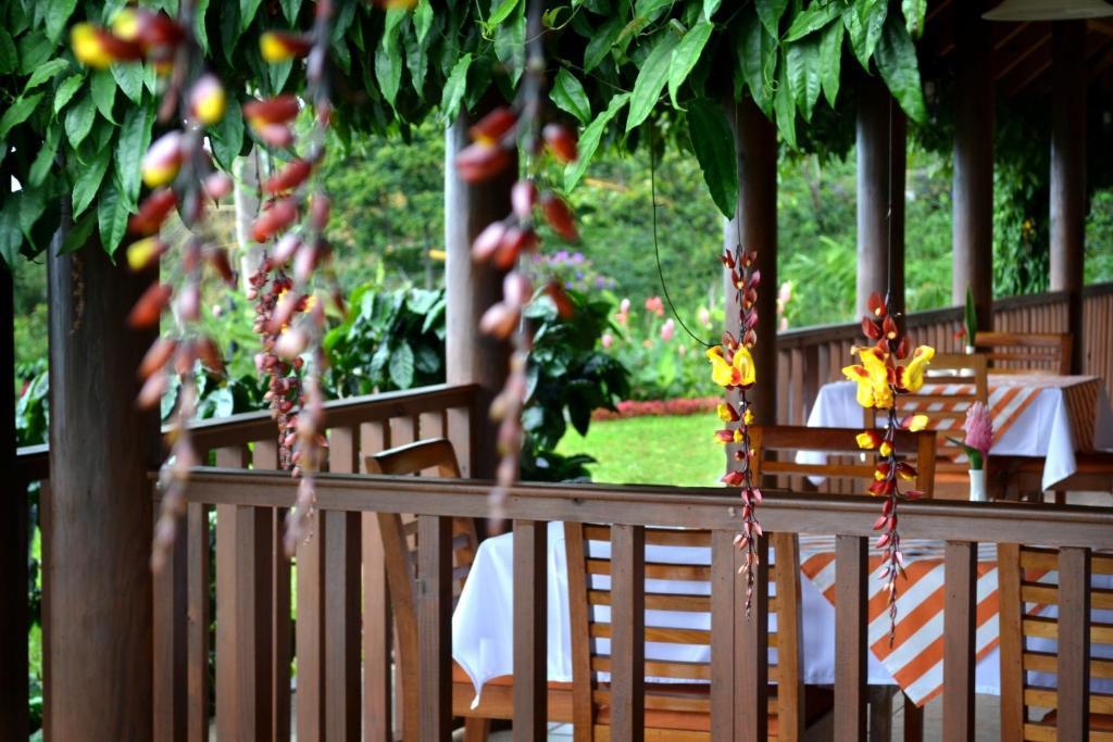 Finca Hamburgo La Ruta Del Cafe 5*