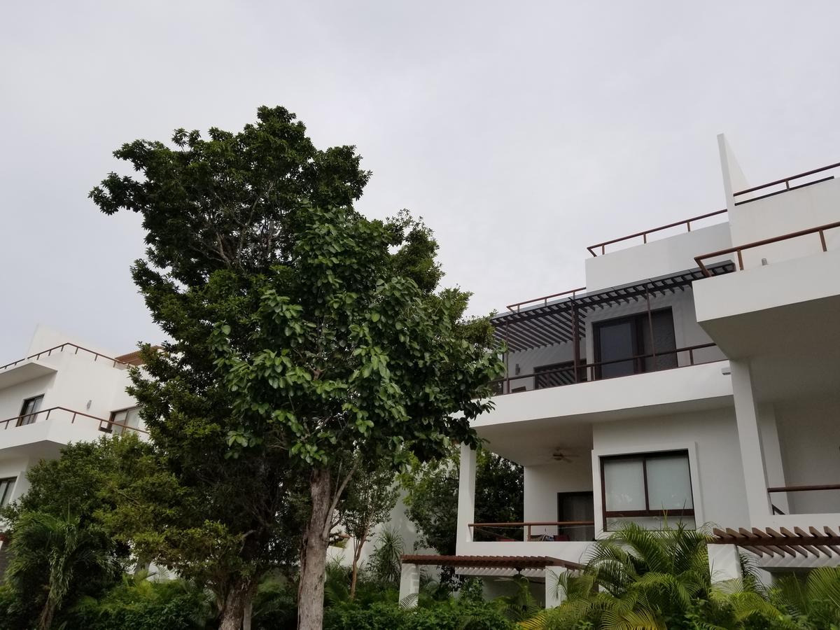 Apartment Charming Within Bahia Principe 5*