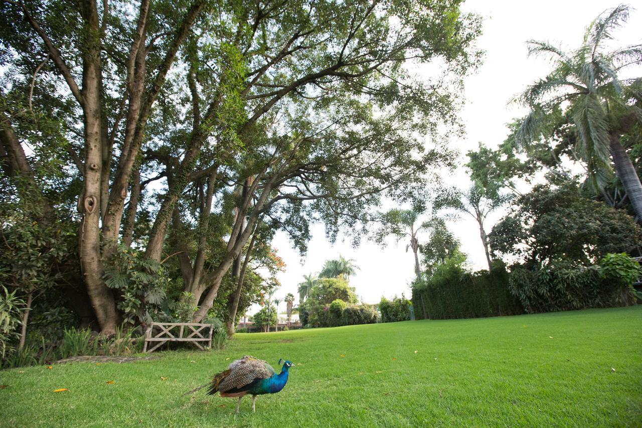 Jacarandas 4* Cuernavaca