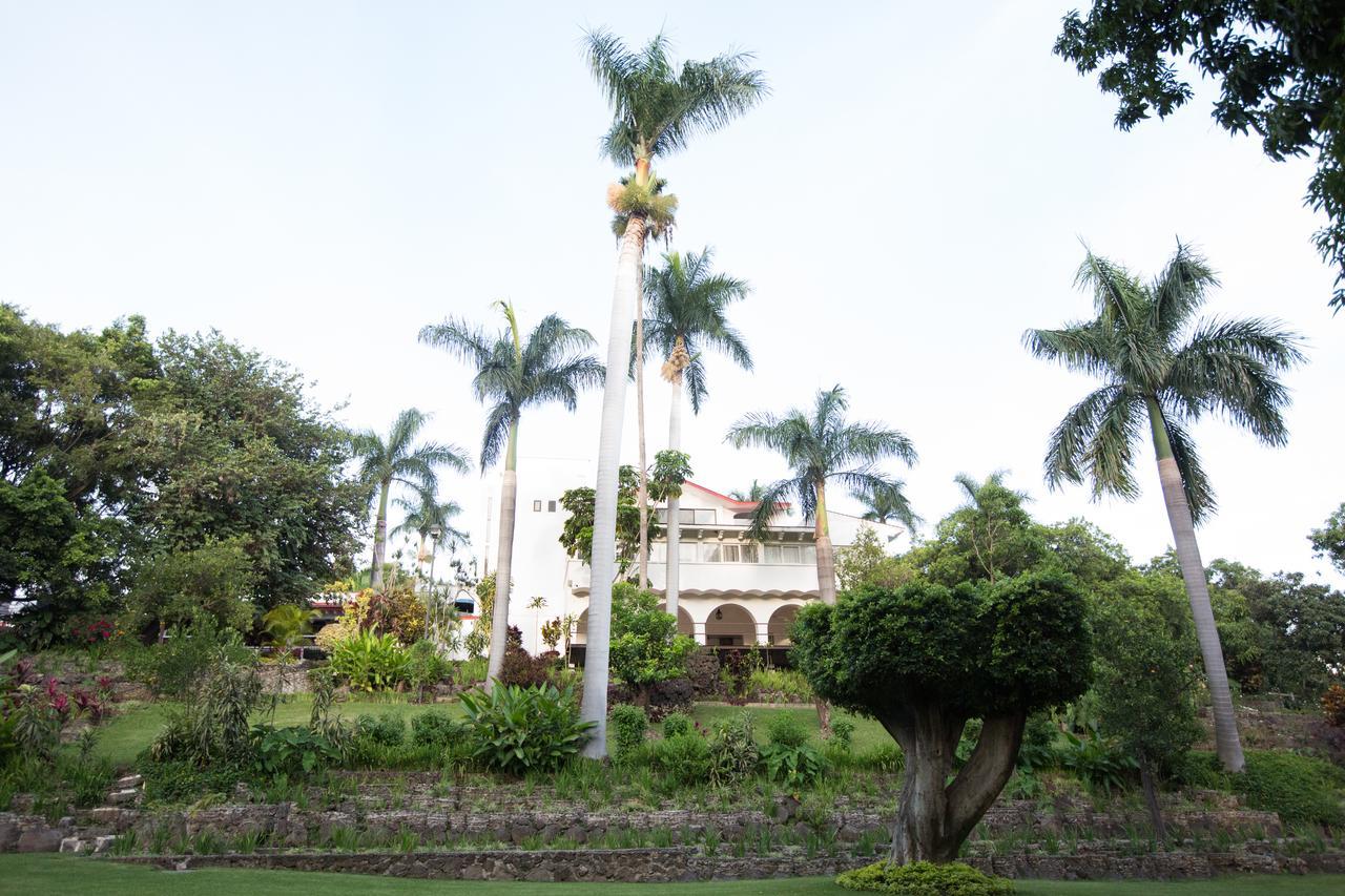 Jacarandas 4*