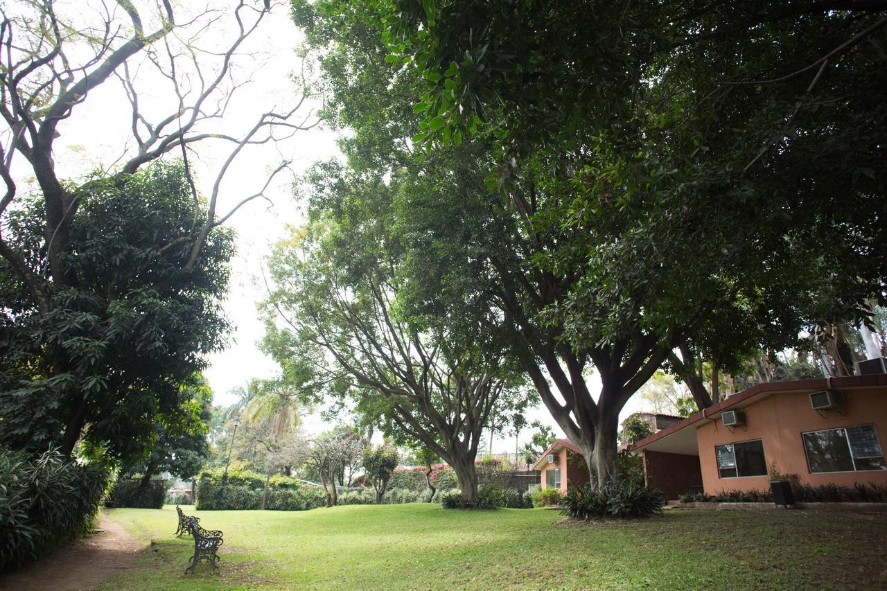 Jacarandas Cuernavaca