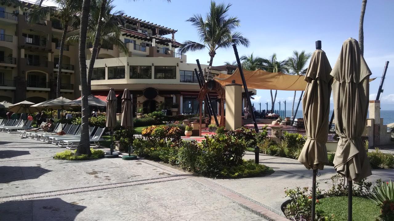 At Del Palmar Flamingos And