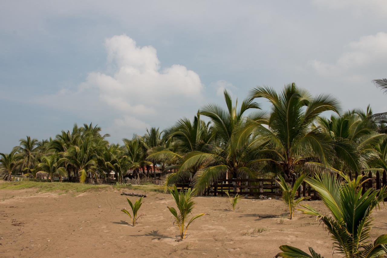 Punta Blanca Hotel Zihuatanejo