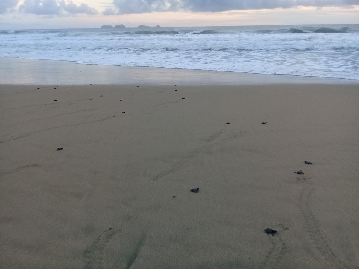Punta Blanca 4* Zihuatanejo