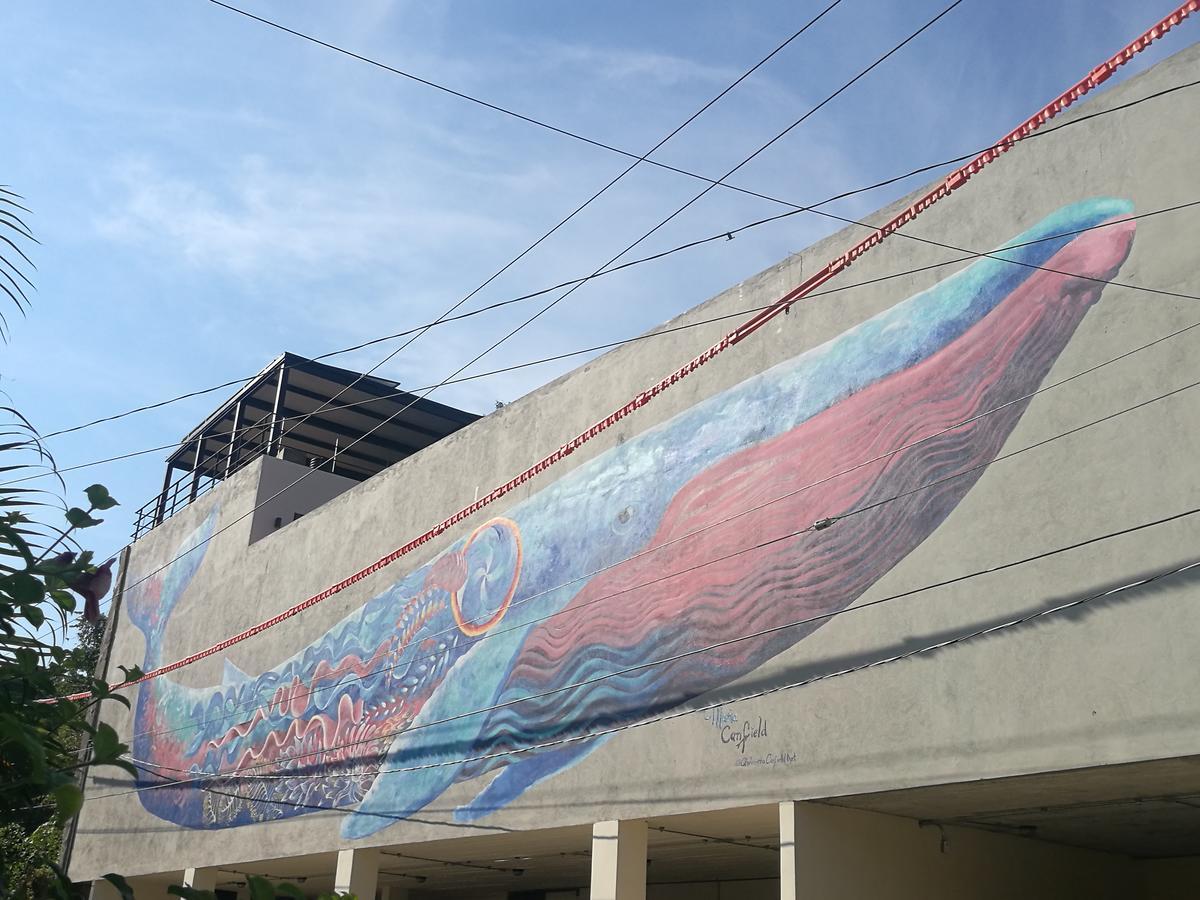 Casa De La Ballena (adults Only) Sayulita
