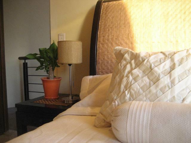 B Nayar 115 Gated Community & Club La Cruz de Huanacaxtle