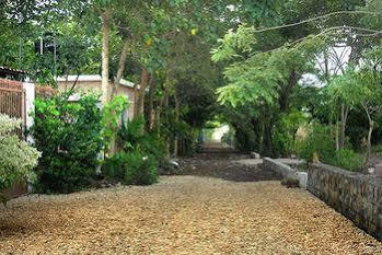 Gaia Paraiso 2* San Andres Tuxtla