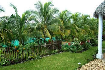 Hotel Gaia Paraiso 2*