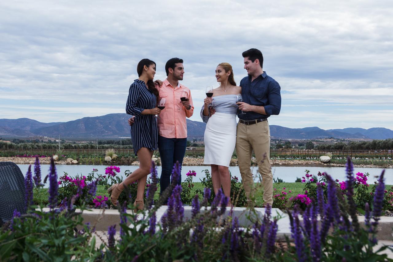 El Cielo Valle de Guadalupe