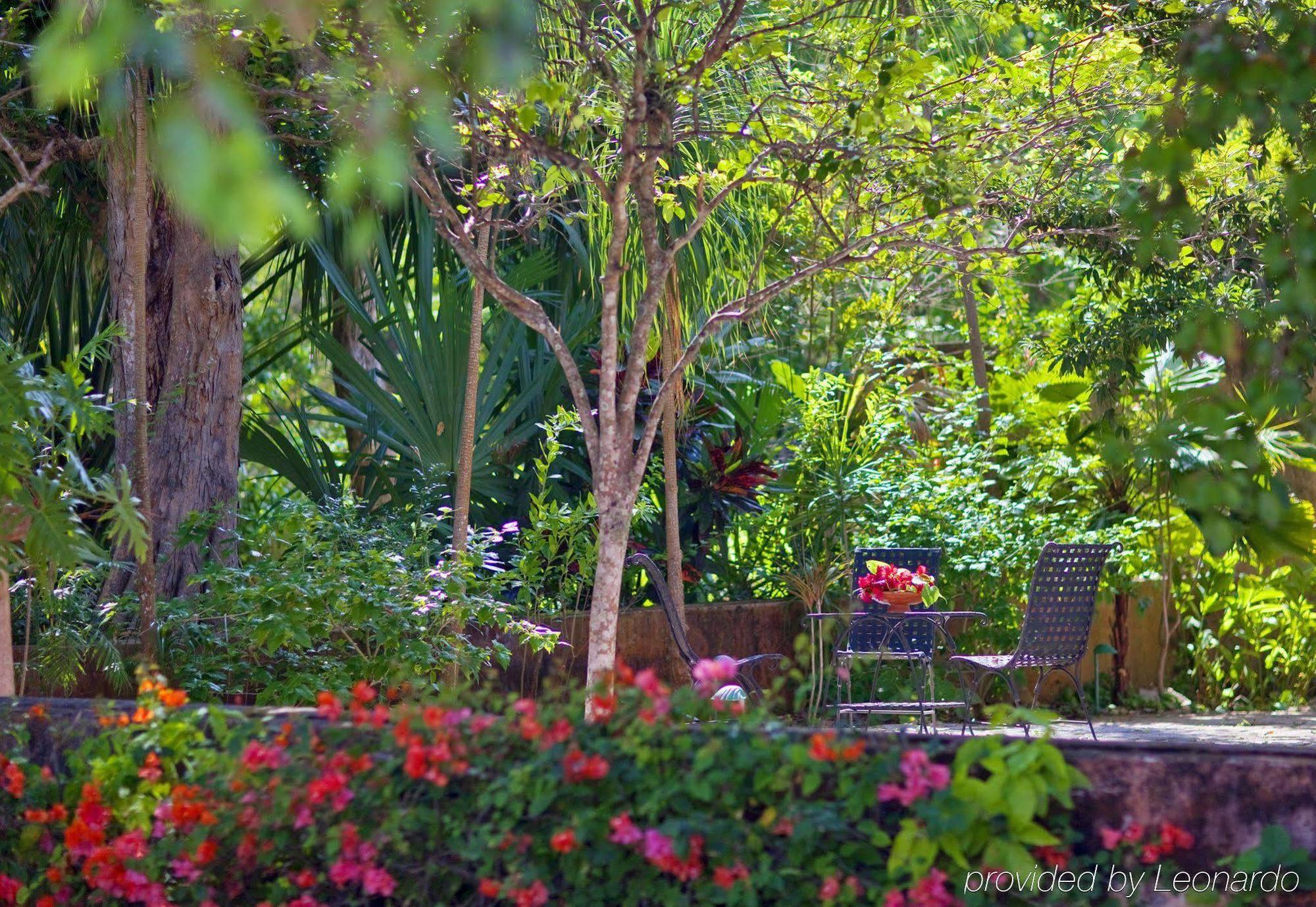 Hacienda Santa Rosa De Lima 5* Santa Rosa (Maxcanu)