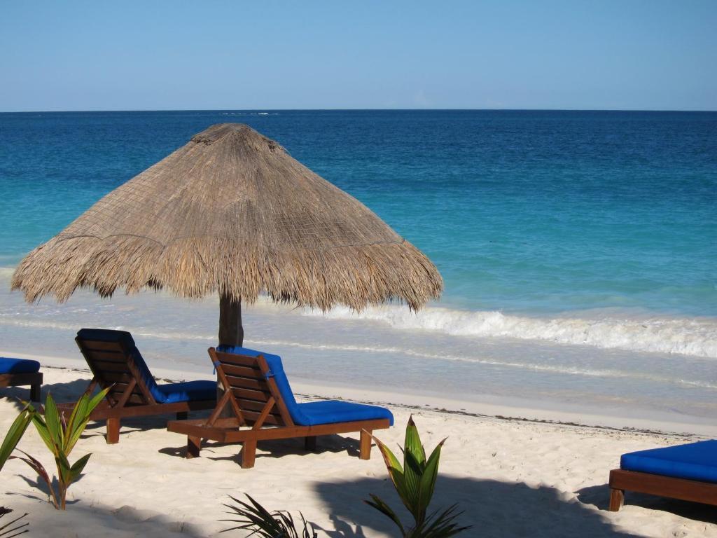 Sol Caribe 2*