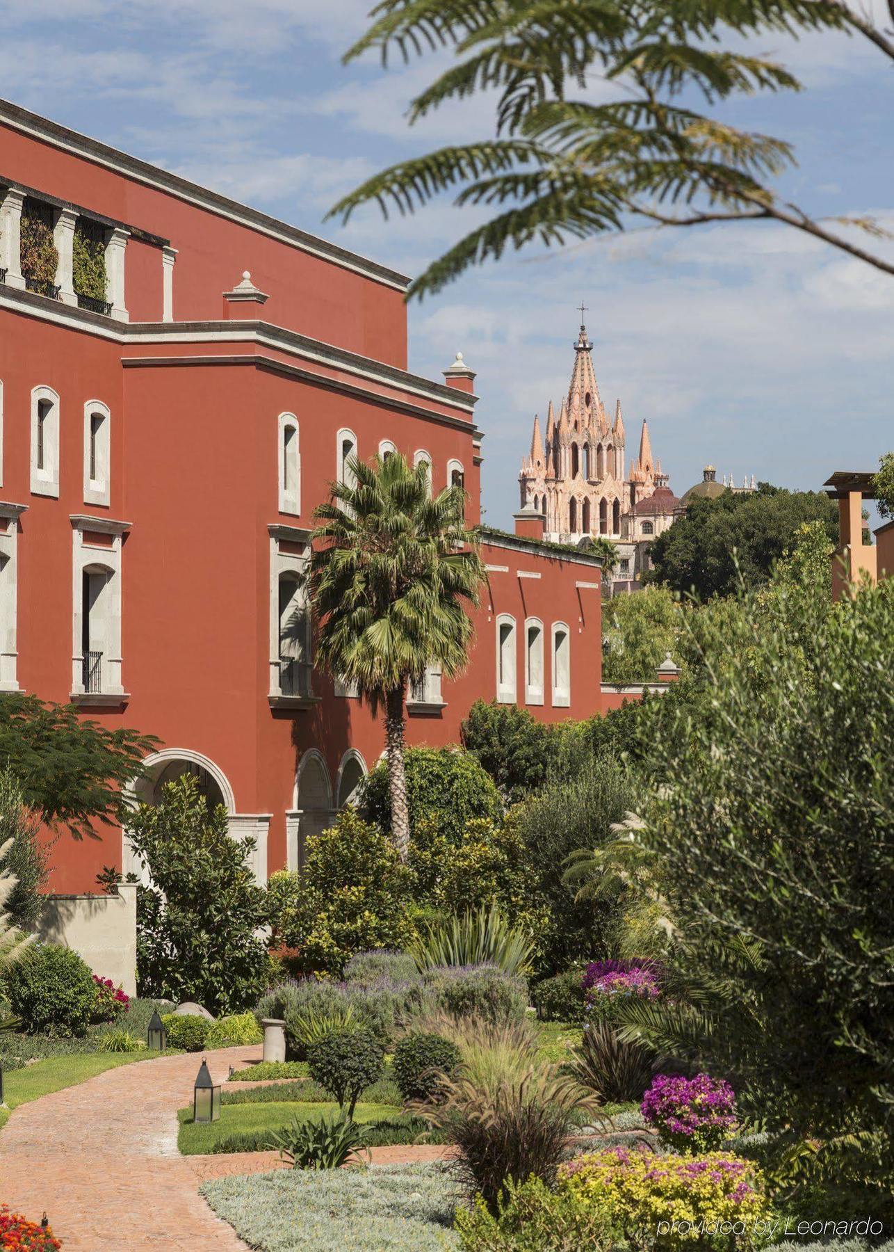 Rosewood San Miguel