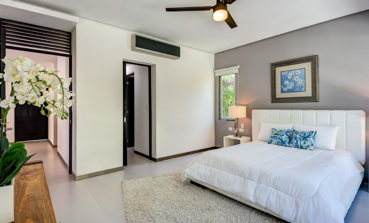 Acacia 4*