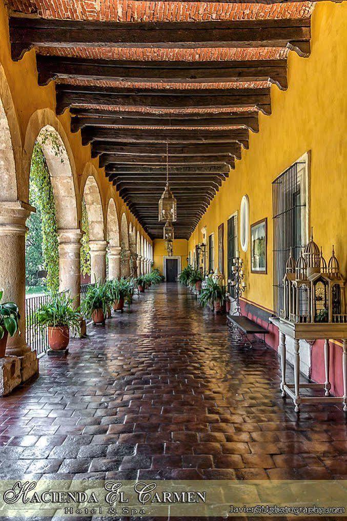 Hacienda El Carmen & 3*