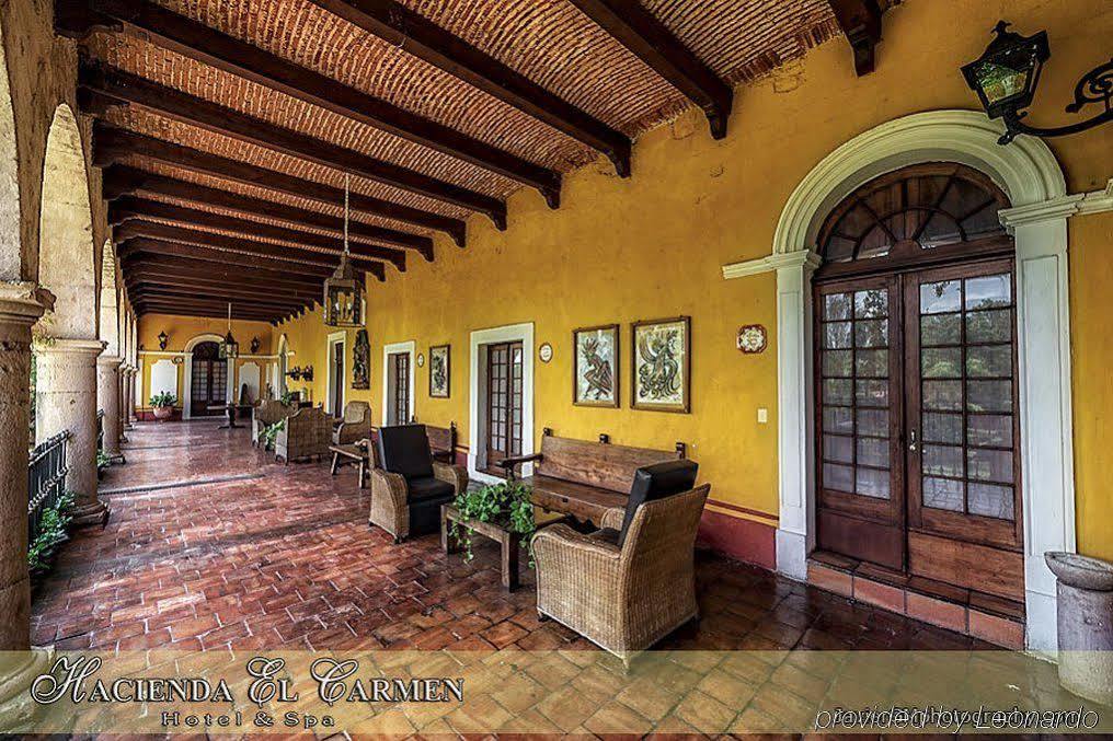 Hacienda El Carmen & Hotel 3*