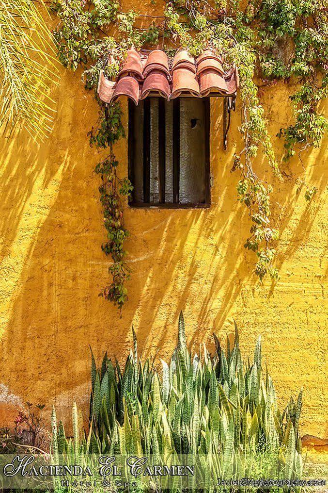 Hotel Hacienda El Carmen &