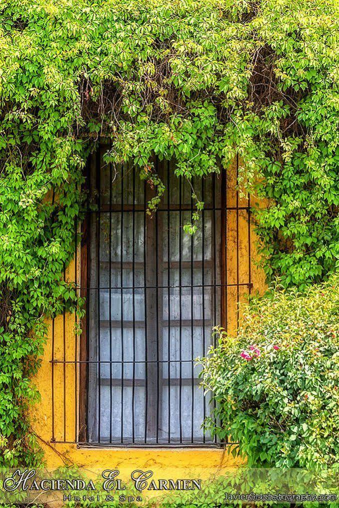 Hacienda El Carmen & 3* Teuchitlan