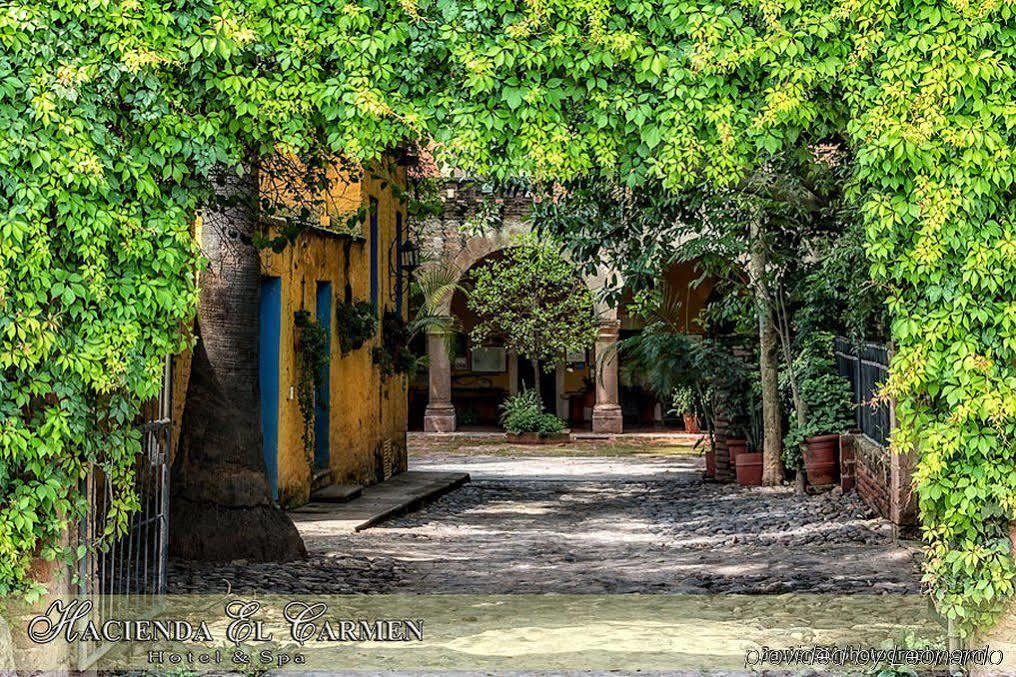 Hotel Hacienda El Carmen & 3*