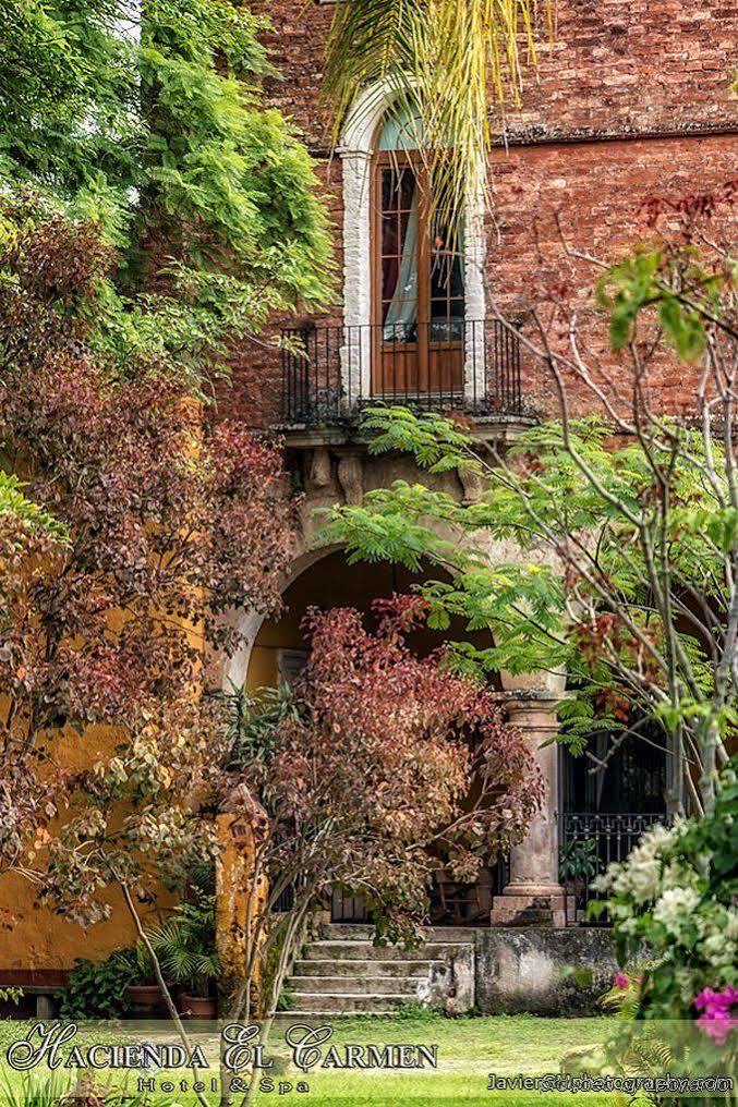 Hotel Hacienda El Carmen &