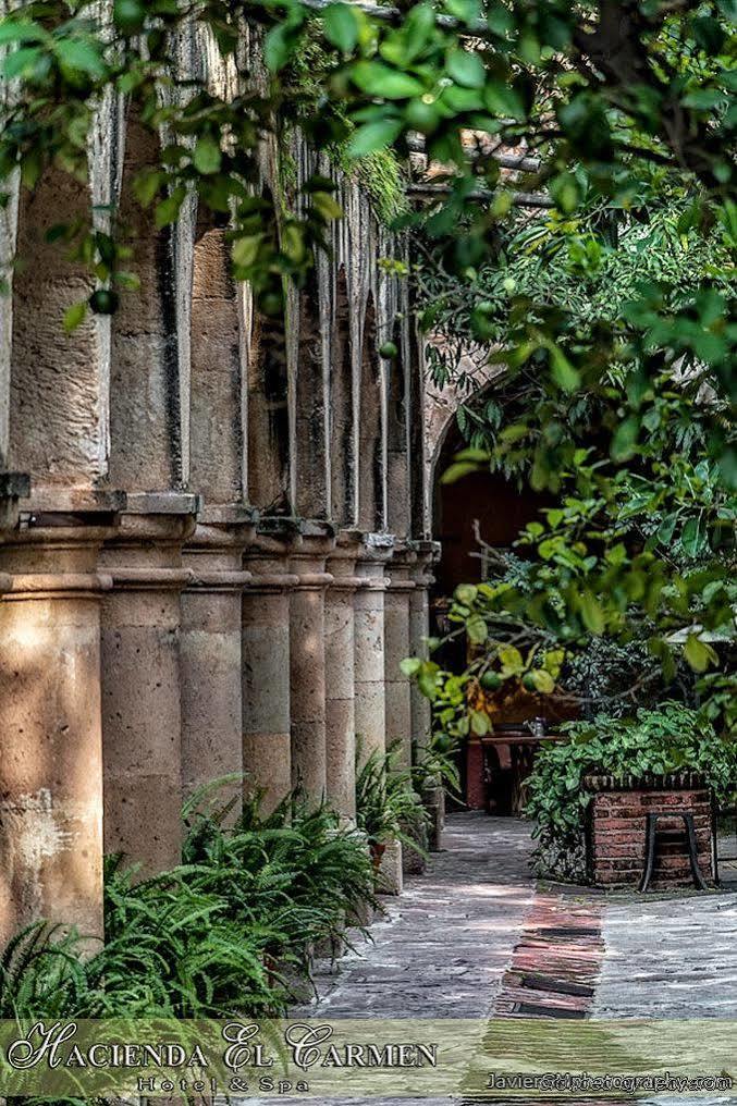 Hacienda El Carmen & 3*
