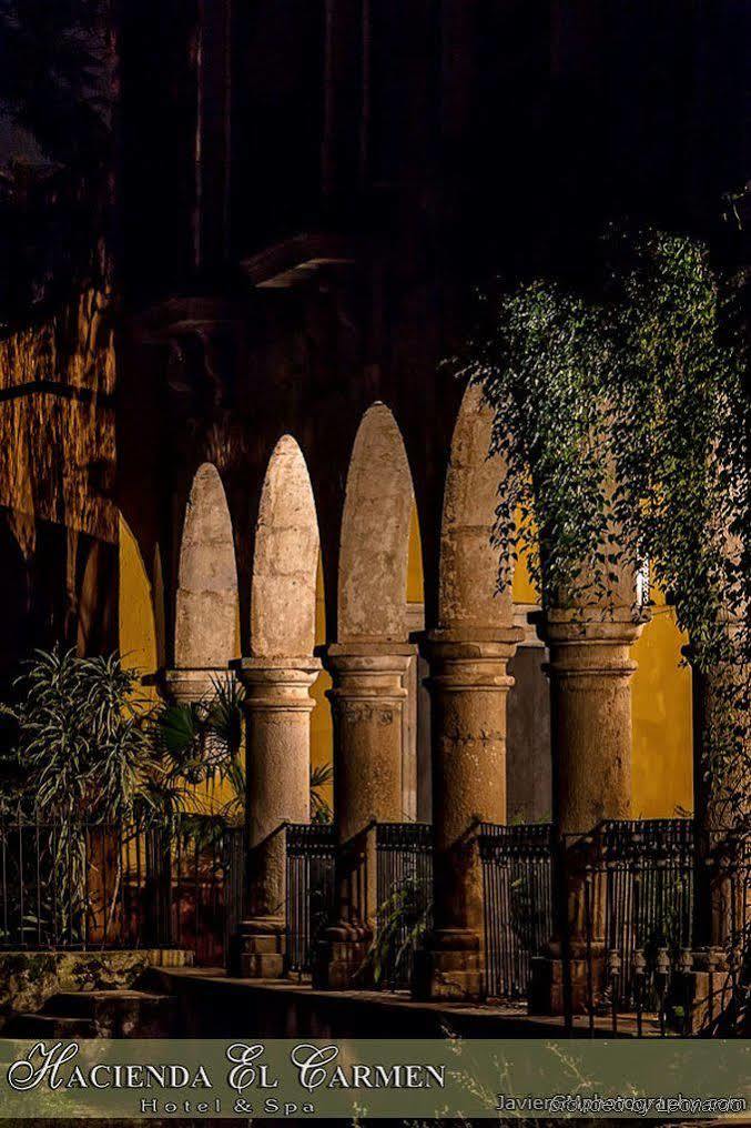 Hotel Hacienda El Carmen &
